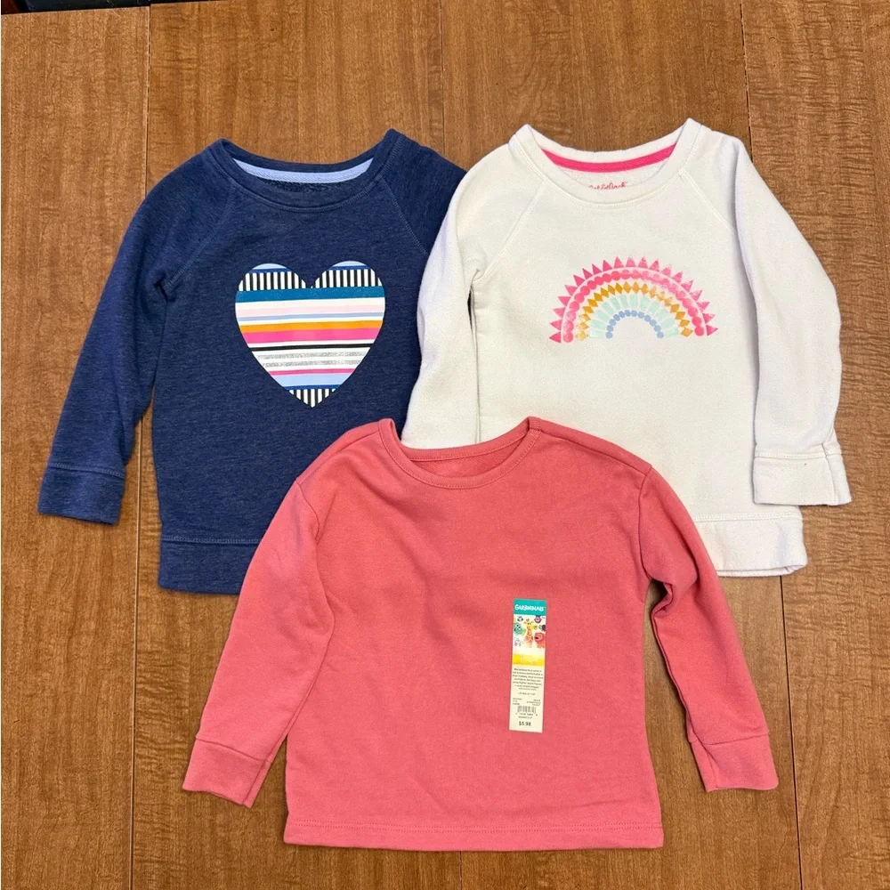 Girls 3T shirt lot-17 pieces! - Picture 2 of 6